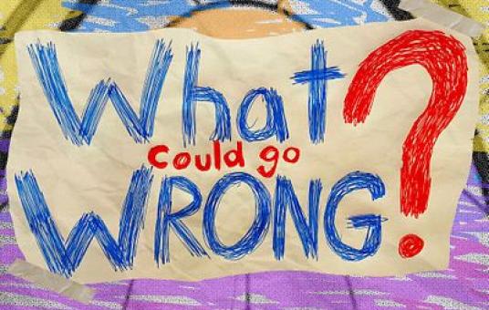 What Could Go Wrong? 