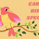 Early Bird Special